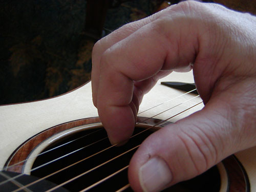 Nails vs. Flesh for playing Fingerstyle Guitar