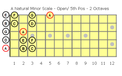 Scales for Beginners